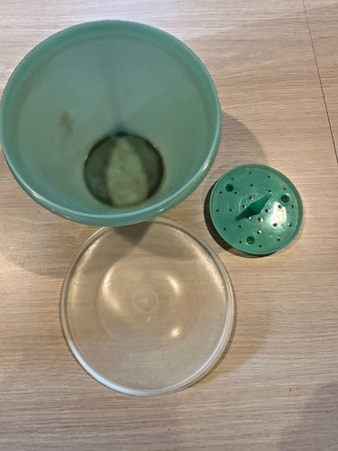 Vintage tupperware lettuce - vintage,